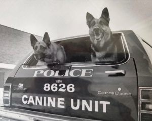 Canton Police K9 Fund